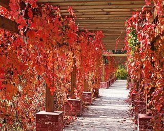 Beijing Jinyu Badaling Hot Spring Resort Xiaohetun Εξωτερικό φωτογραφία
